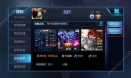 王者爆料青鸟视频,青鸟神秘视频揭秘，全新英雄即将登场！